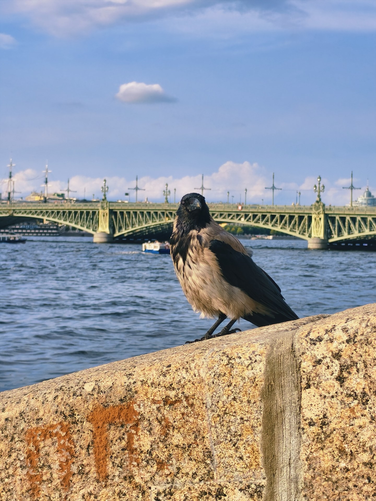 Saint Petersburg — photo 2