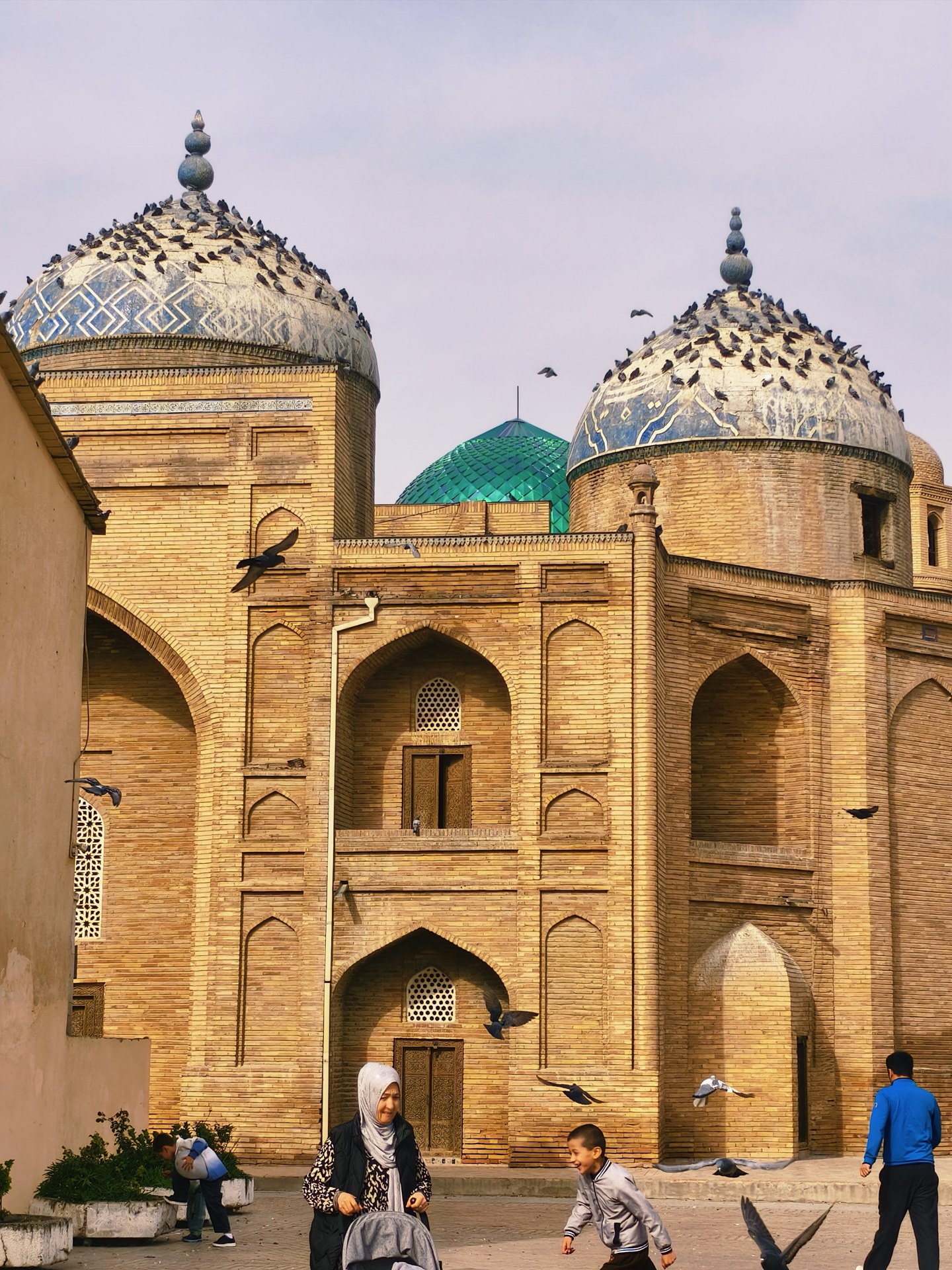1000-летняя шелковица Панджшанбе