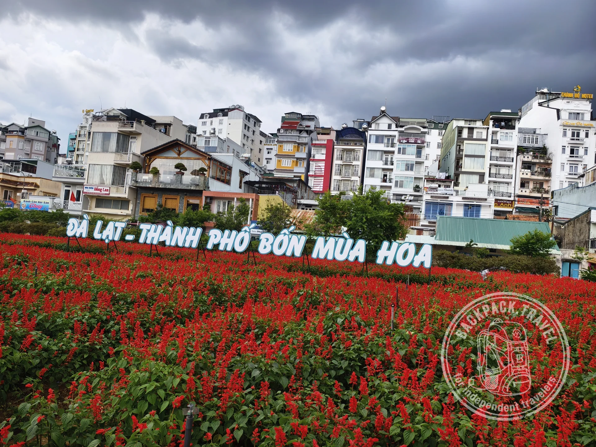 Anh Sang Flower Garden