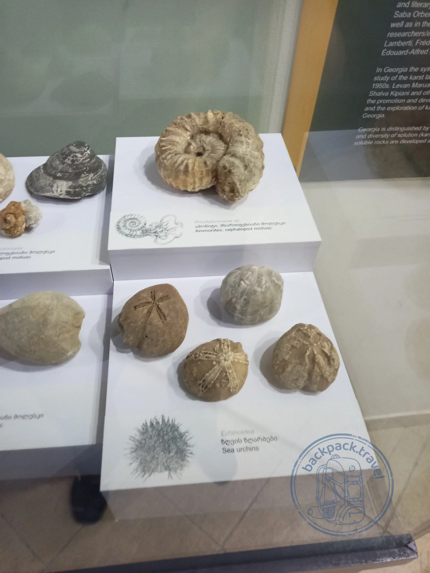 Заповедник Сатаплиа