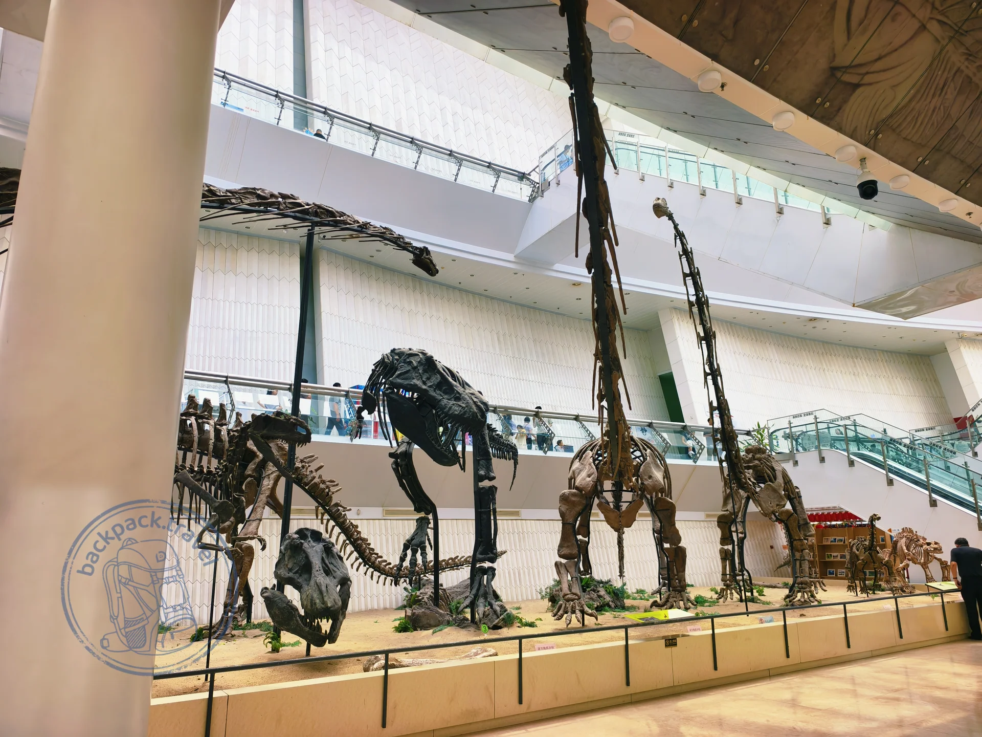 Tianjin Natural History Museum