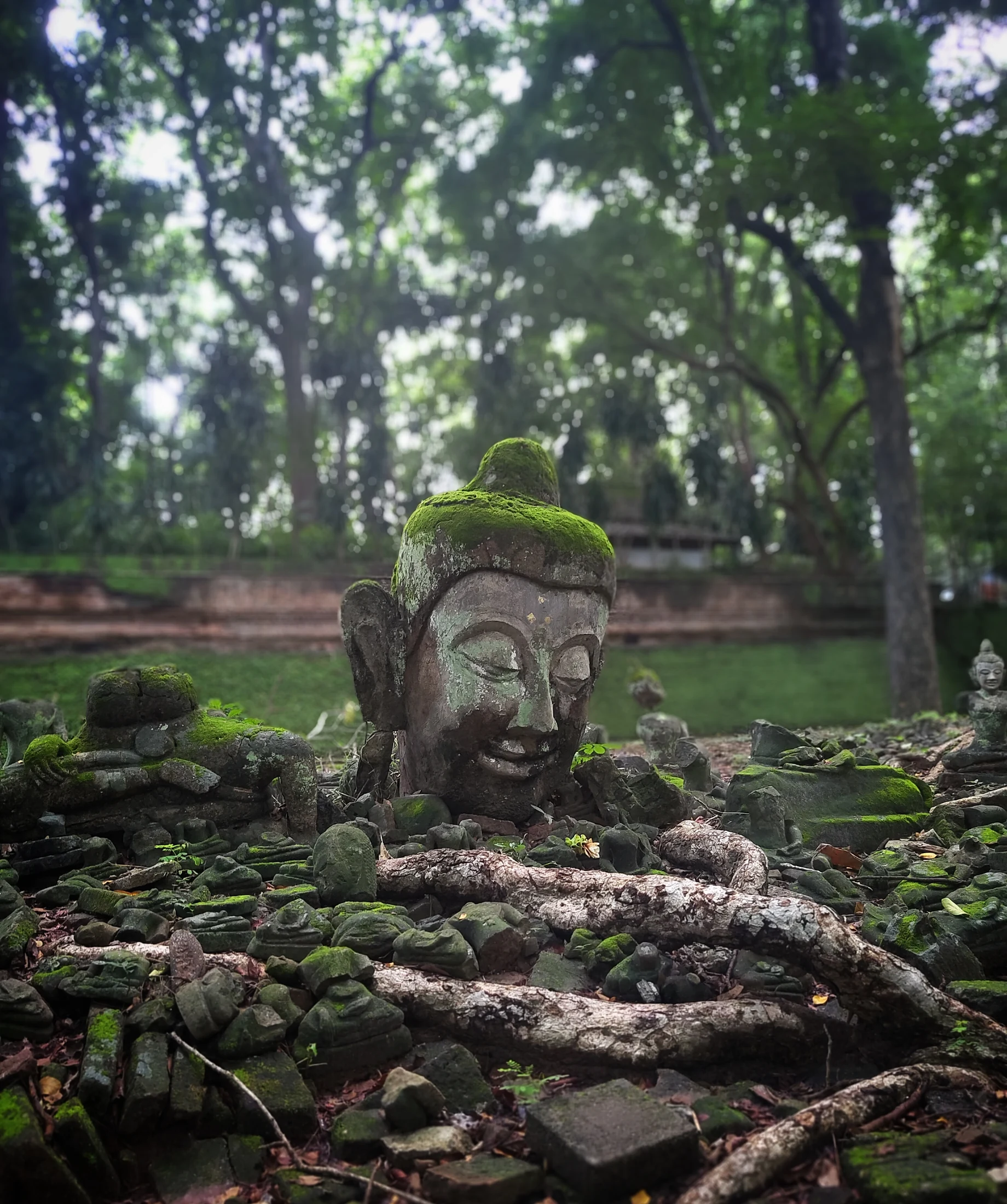 Wat Umong (Tunnel Temple)