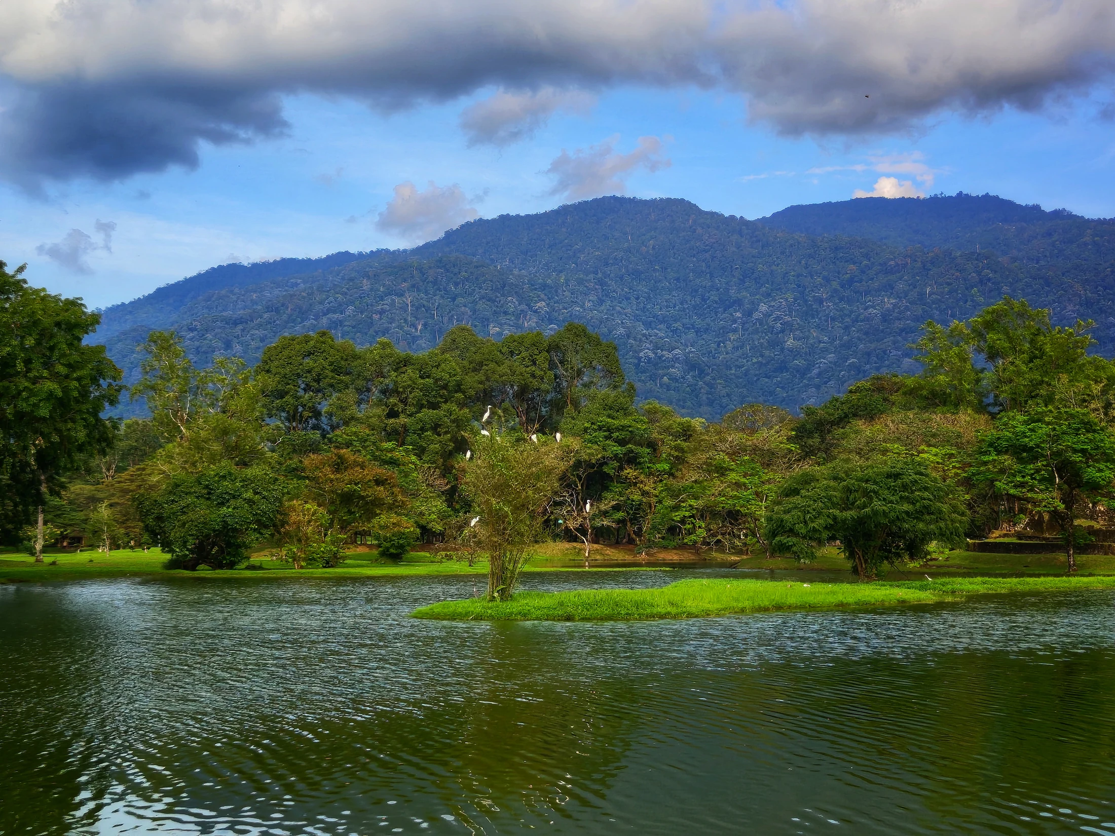 Taiping Lake Gardens