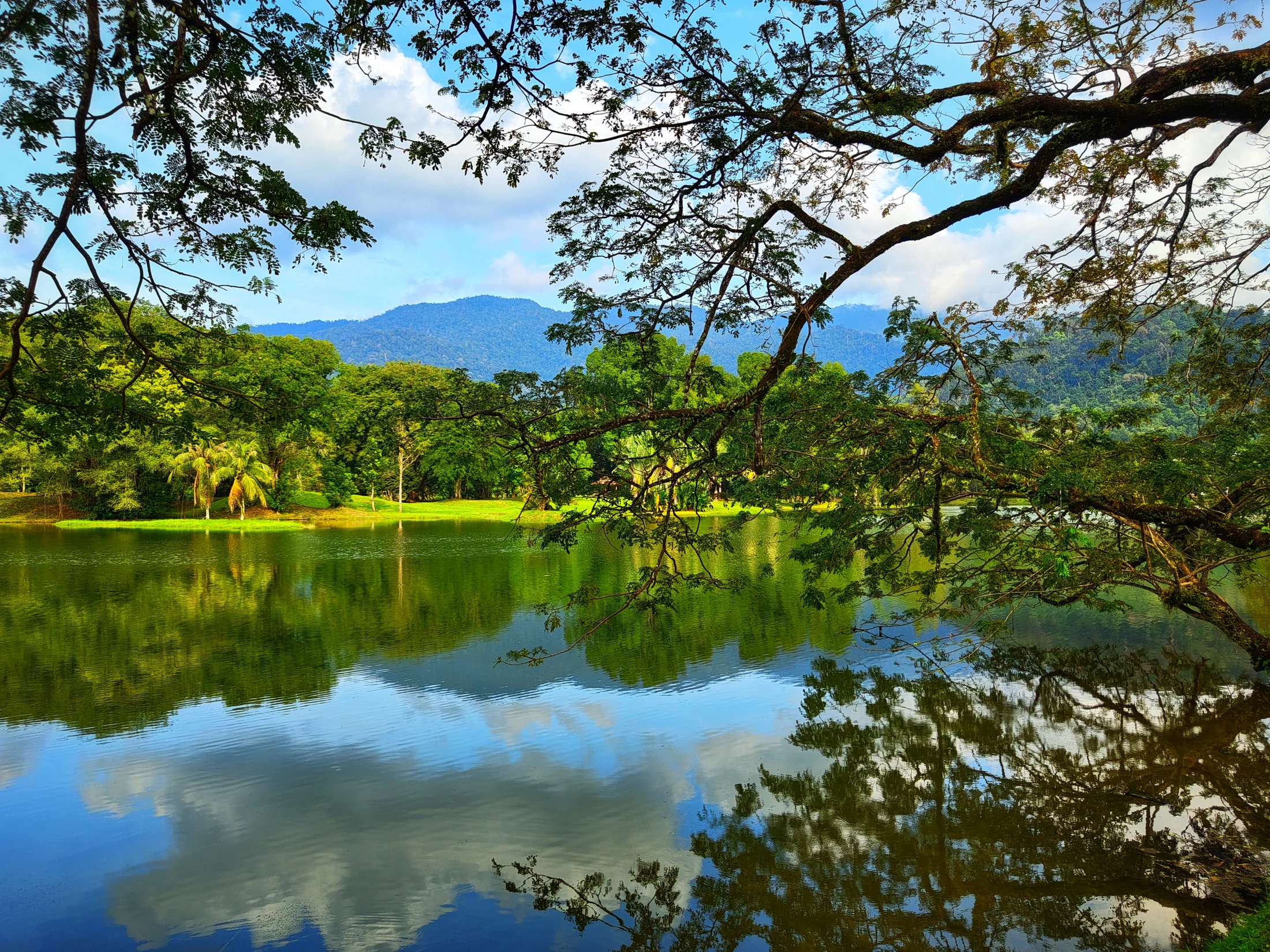 Taiping Lake Gardens