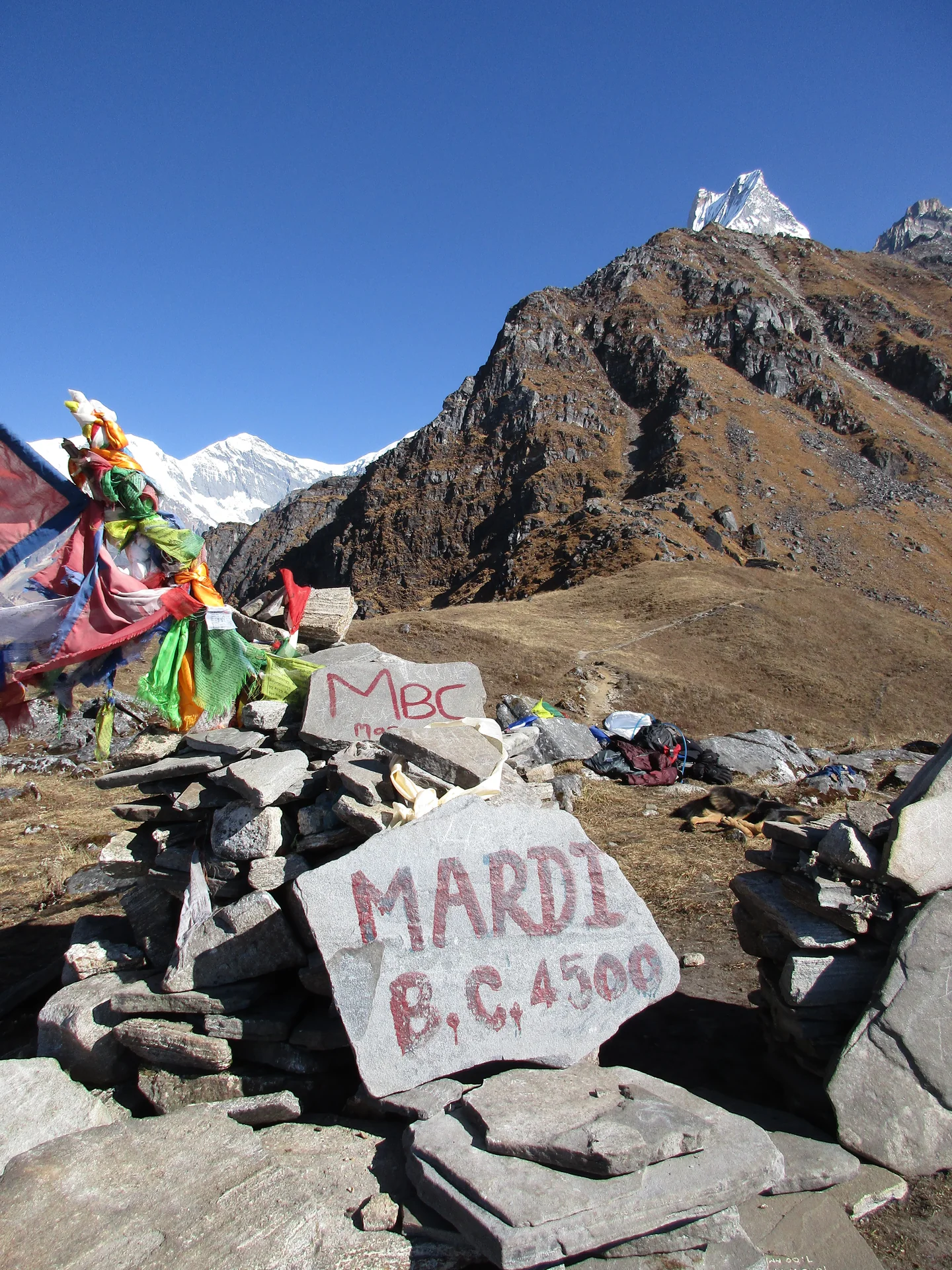 Mardi Himal Base Camp